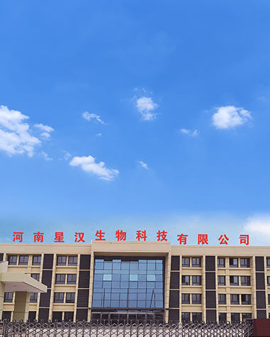 About Xinghan - A L-Lactic Acid Company